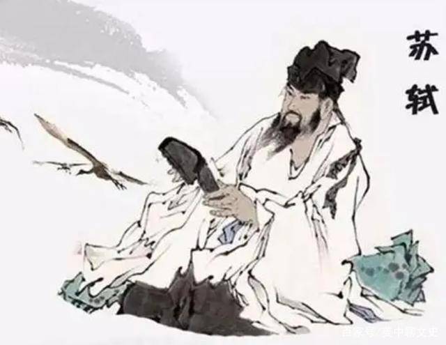 苏轼后代最新动态揭秘，全面指南与深度解析
