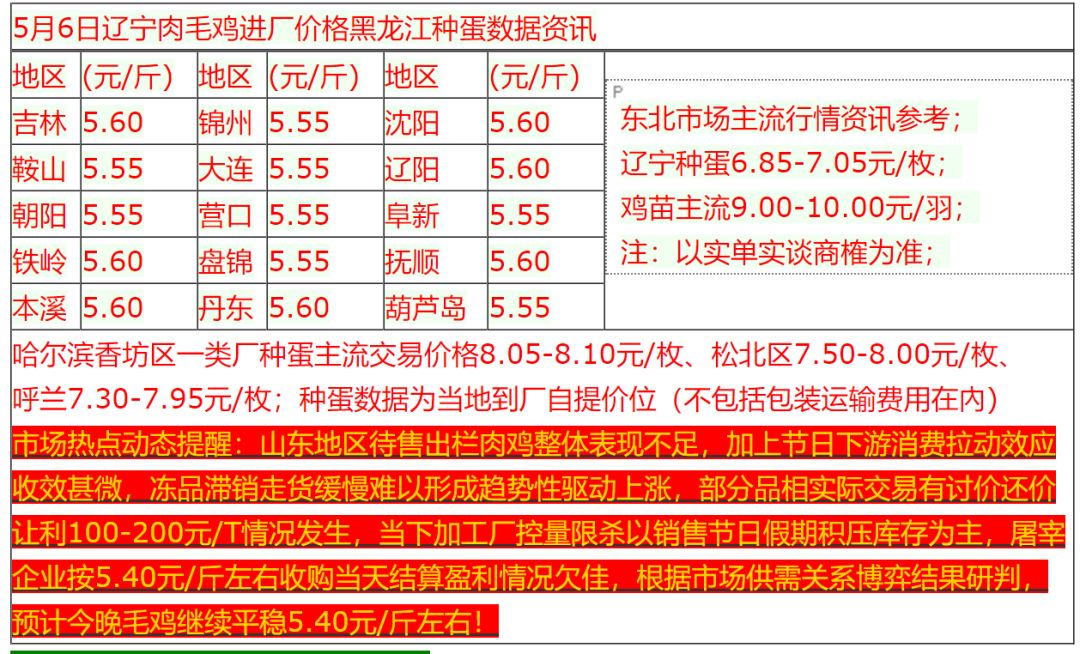今日毛鸡价格行情与鸡病专业网——鸡舍温情纪实