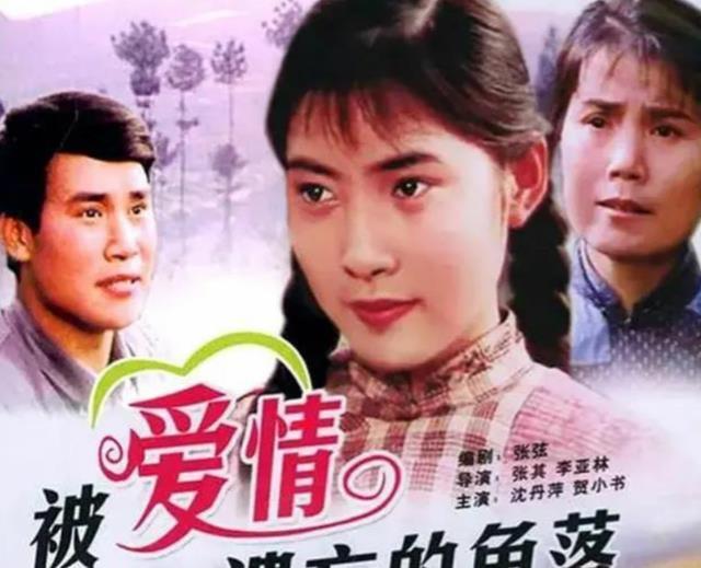 艾丽玛演员的日常趣事揭秘