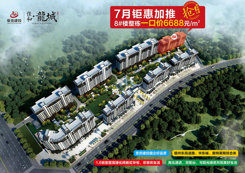 龙洲新城最新房价解析，市场趋势与个人观点探讨