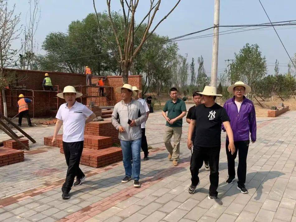 玉龙半岛最新情况全面解析与观点分析